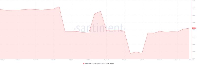 Crypto Whales Bought These Altcoins in the First Week of November 2024